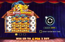 The Dog House Dice Show — полный обзор игры